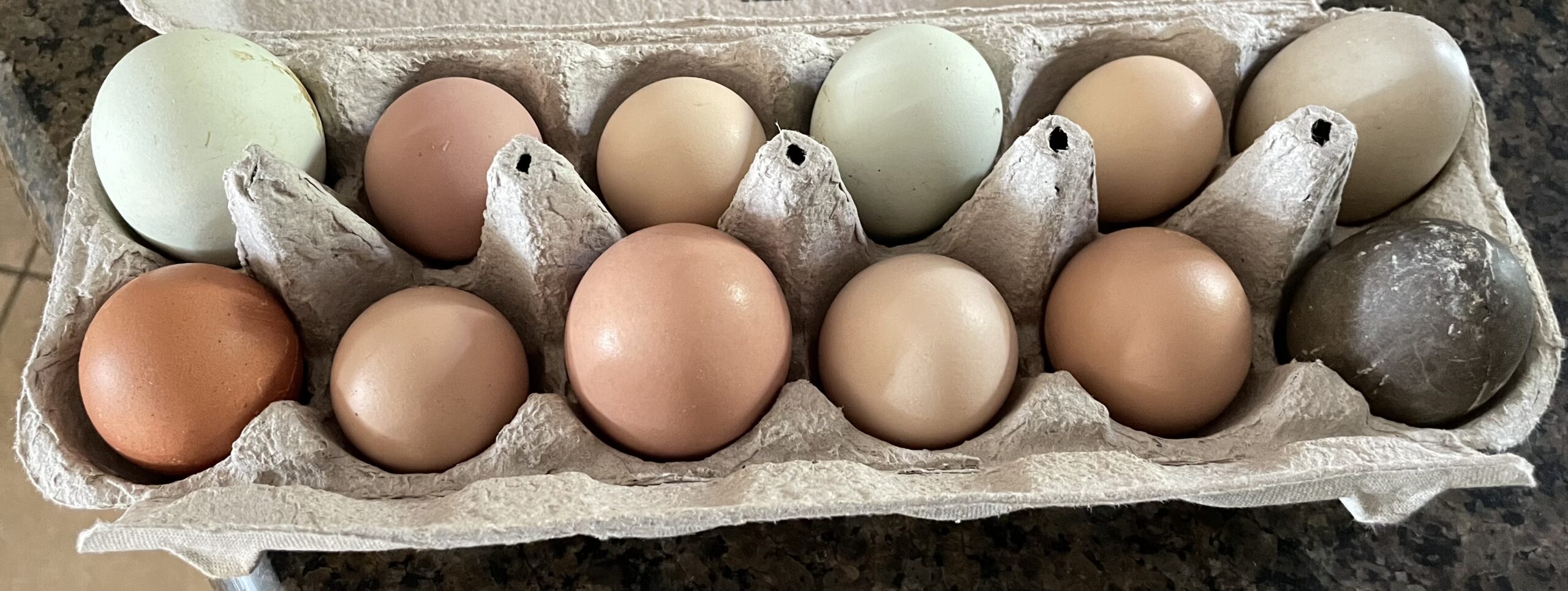 Rainbow Eggs